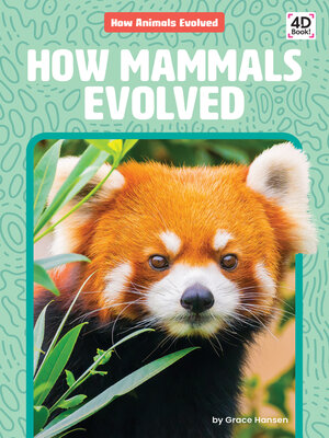 cover image of How Mammals Evolved